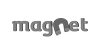 Magnet