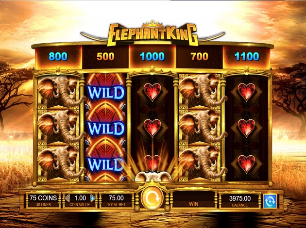 Elephant king s