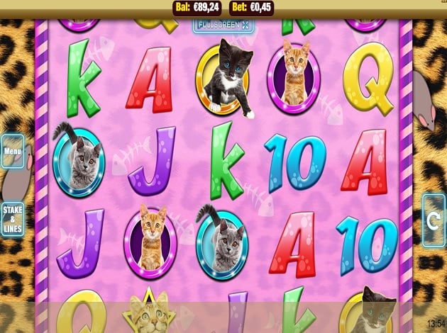 Jogos de slots gratis Meow Money Jogos de slots gratis Meow Money