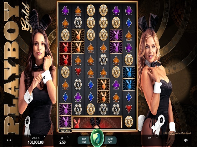winbig21 no deposit bonus codes bingo