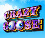 Crazy Goose