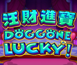 Dog gone Lucky
