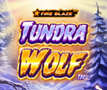 Fire Blaze Golden Tundra Wolf