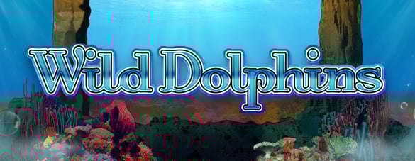 news.header_image.8899